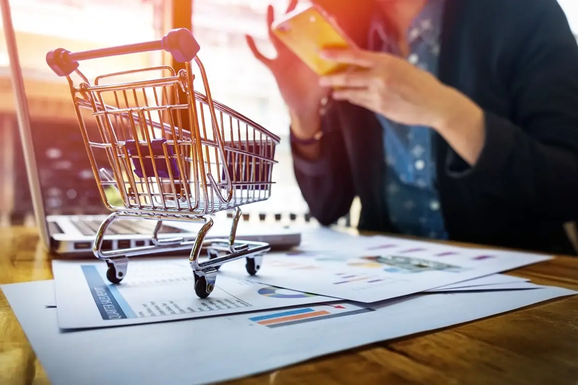 Ecommerce Website Development Agency in Mumbai Brand Egos Digital